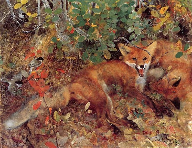 bruno liljefors Foxes China oil painting art